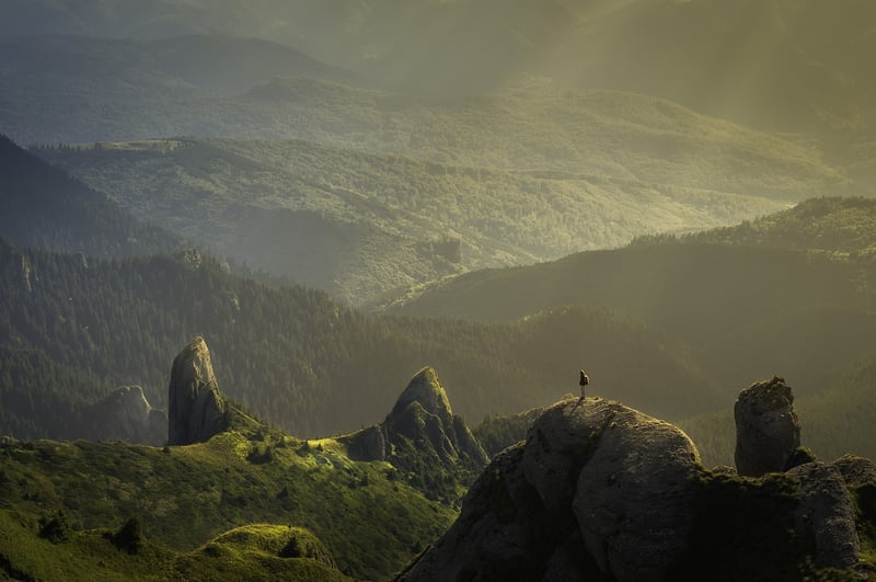 Hiking in nature
